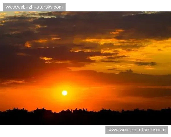 巅峰的弧线与碎裂的橙色梦想:西班牙与荷兰的绿茵史诗 巅峰的弧线与碎裂的橙色梦想:西班牙与荷兰的绿茵史诗