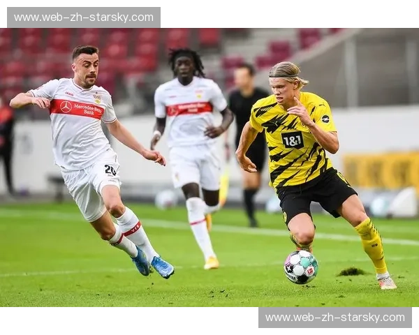 欧联杯巅峰对决：勒沃库森与罗马的红狼之夜，谁将点燃星光？